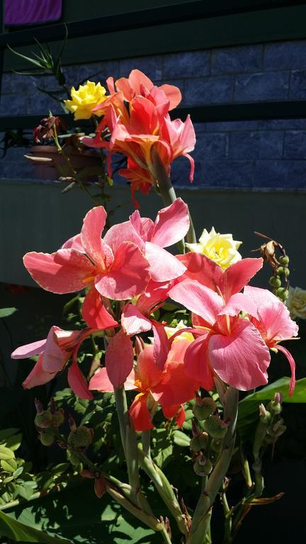 Cefalu Sweet House Of The Flowers 外观 照片